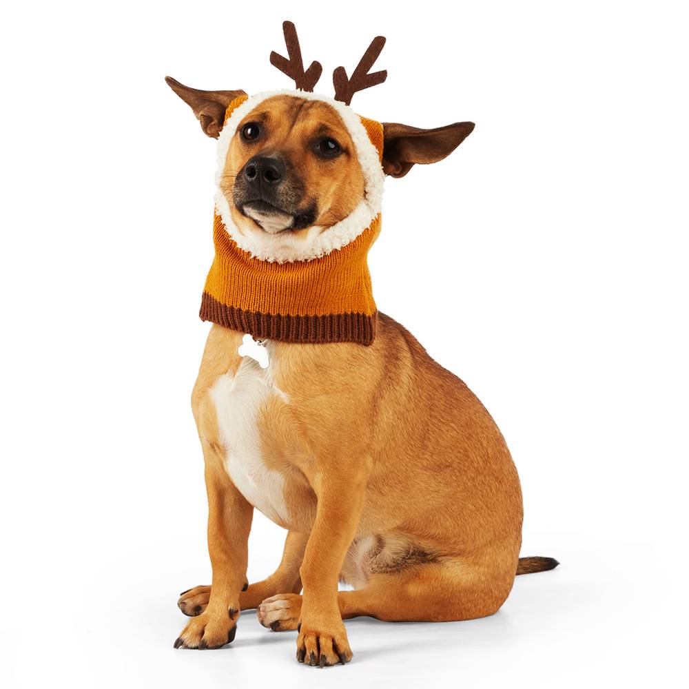 Merry Makings · Gorro de astas de reno para perros chico