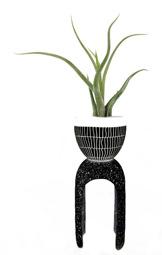 LiveTrends Sublime Potted Plant