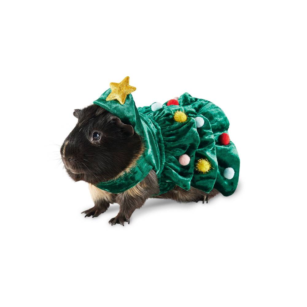 Merry & Bright Small Pet Christmas Tree Costume, Assorted