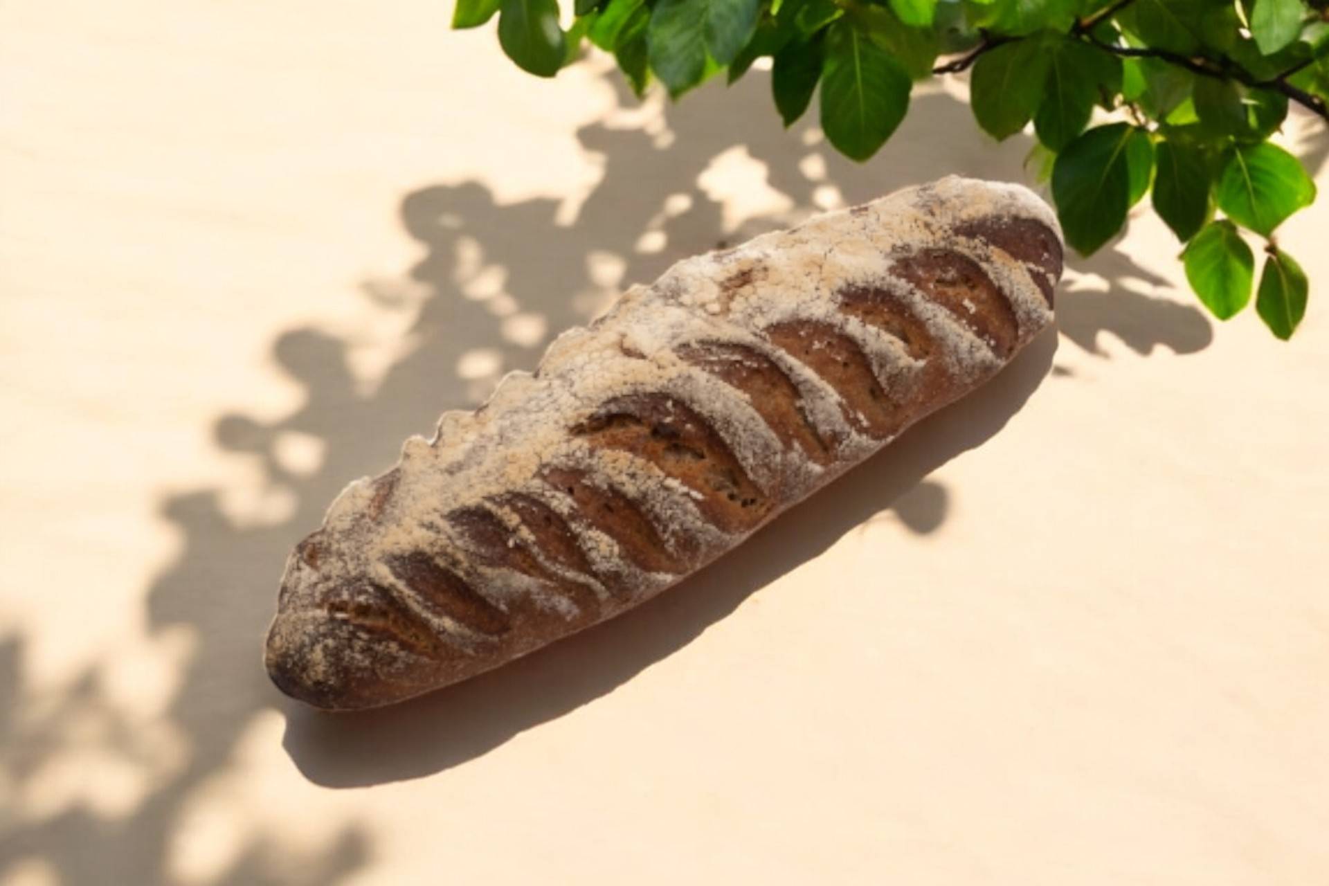 Pain de Seigle🥖🥖