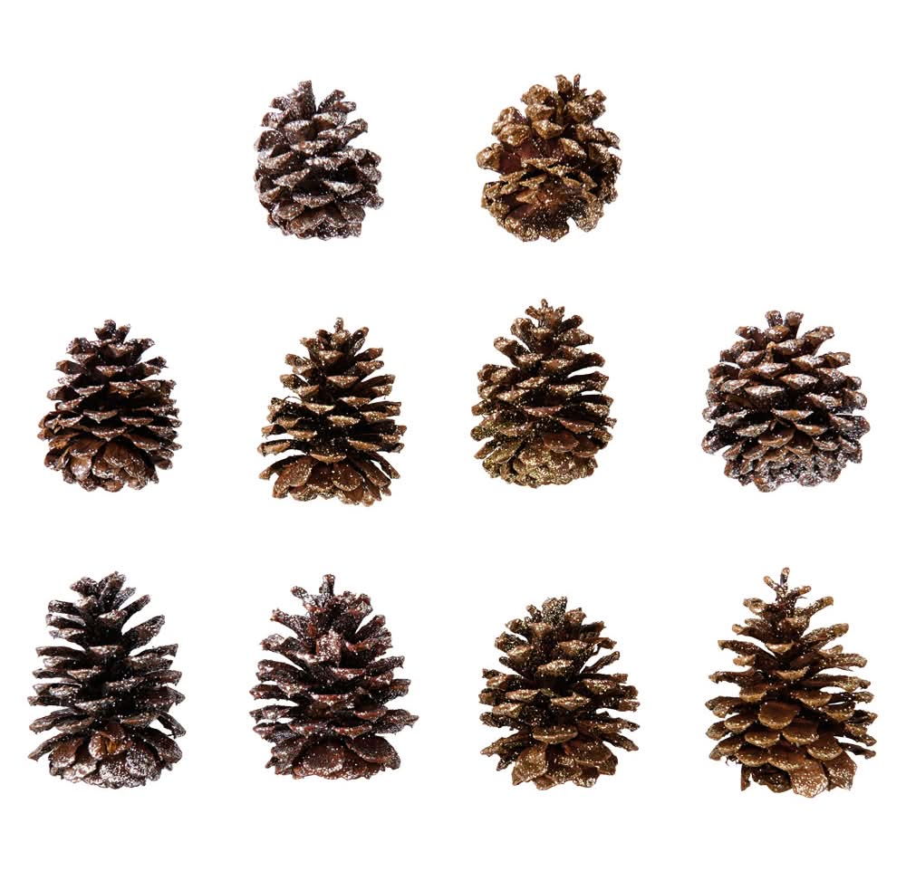 Merry Moments Glittered Holiday Pine Cones
