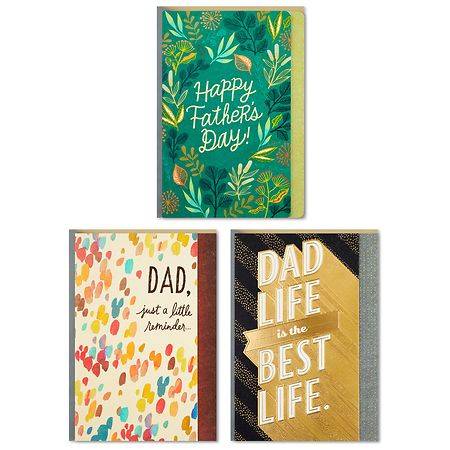Hallmark Dad Life Best Life Assorted Father's Day Cards - S22 - 3.0 ea