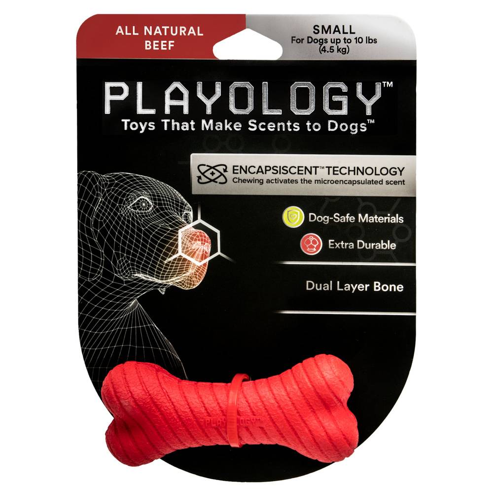 Playology® Dual Layer Bone Scented Dog Toy - Beef (Color: Red, Size: Small)