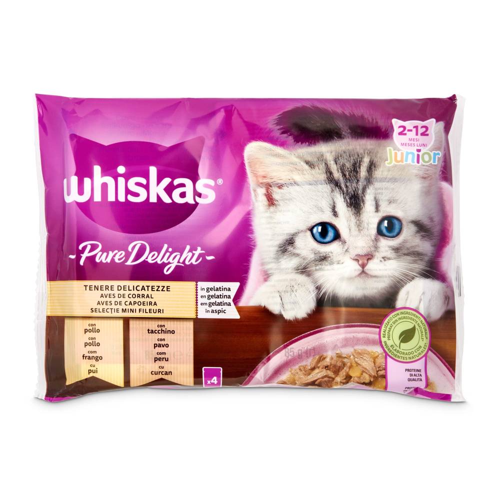 Alimento Para Gatos Junior Aves En Gelatina Whiskas Bolsa 340 G