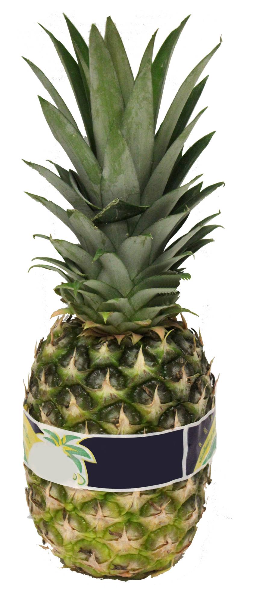 Piña miel (unidad: 1.7 kg aprox)