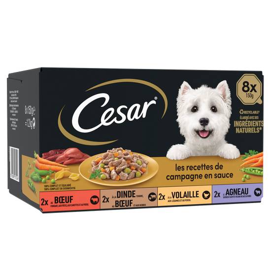 Cesar - Barquettes pour chien les recettes de campagne en sauce (8 pièces)
