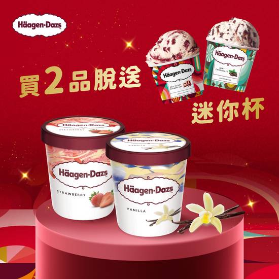 品脫 2 入優惠組 (加贈迷你杯 2 入) 2 Pints Value Combo (Free 2 Mini Cup Ice Cream)