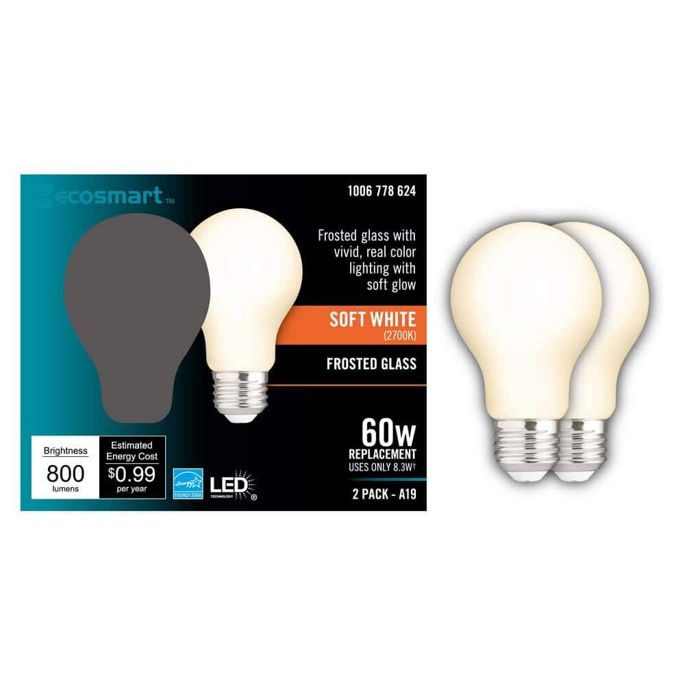 EcoSMART 60-Watt Equivalent A19 Dimmable Cec Frosted Glass Filament Led Light Bulb, Soft White (2 ct)