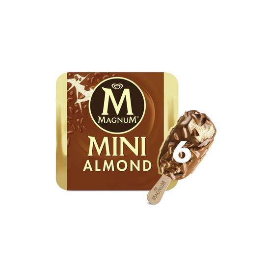 Glace mini bâtonnets vanille chocolat amandes Magnum 6x55ml