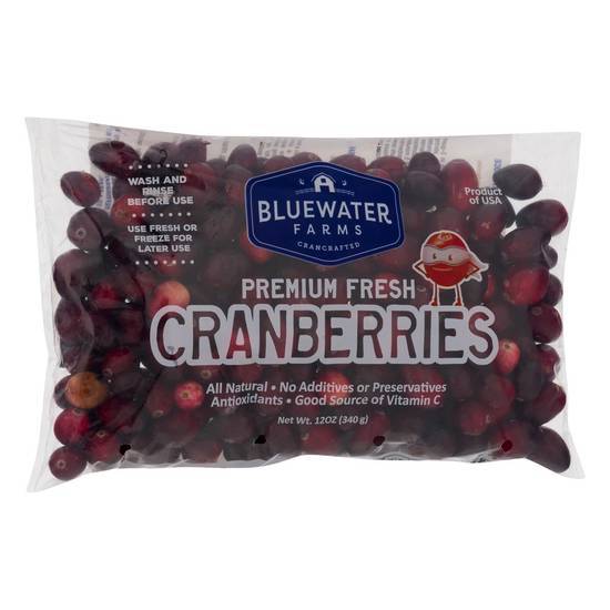 Bluewater Farms Premium Fresh Cranberries (12 oz)