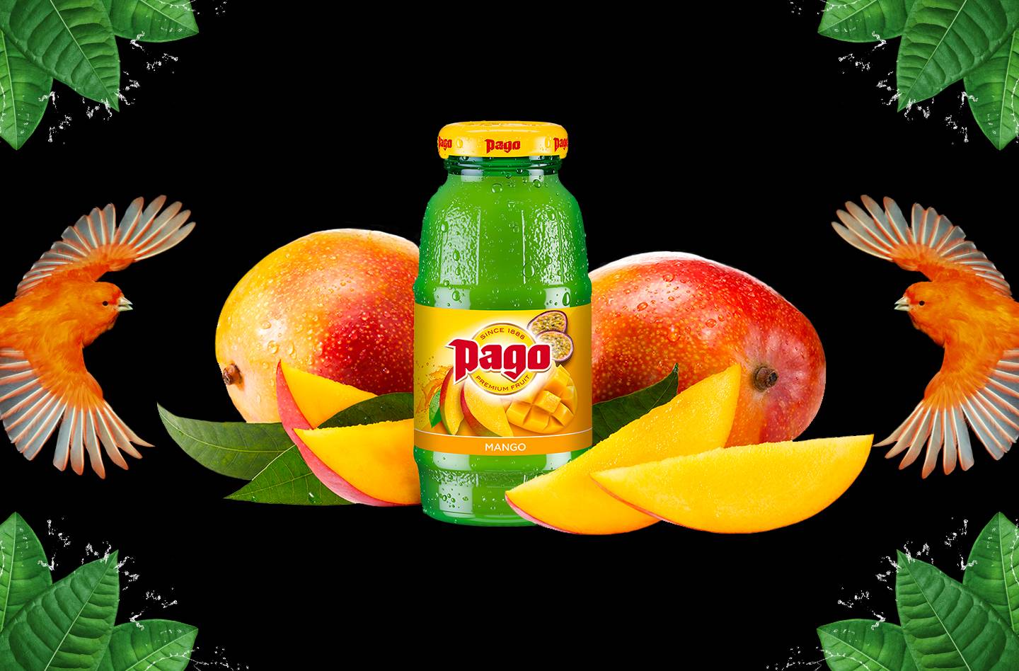 Pago mangue