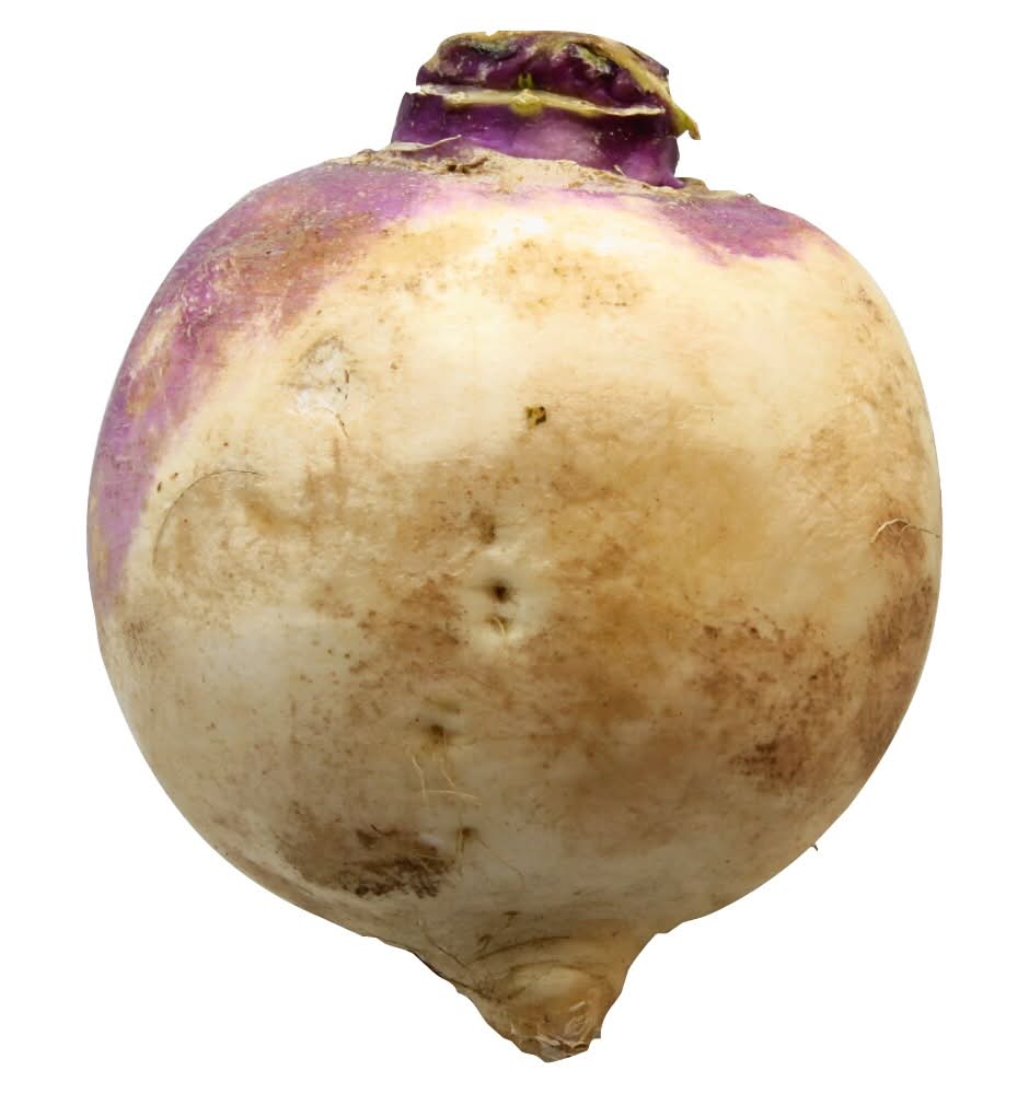 Turnip