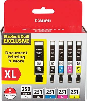 Canon PGI 250 XL/CLI-251 Special Edition Black/Color Ink Cartridge, High Yield, 5/Pack (6432B011)