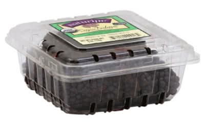 Driscoll's Organic Blackberries (6 oz)
