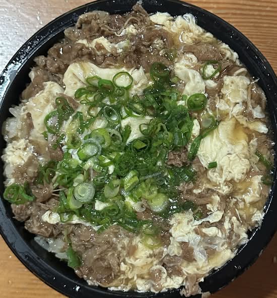 Rice Fluffy Beef Bowl