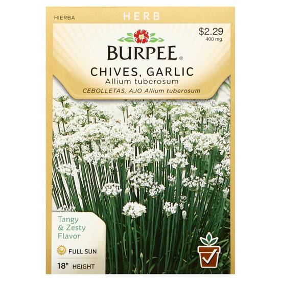 Burpee Chives Garlic