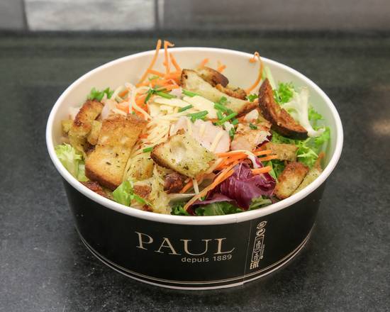 Salade PAUL (mélange de salade, radis, carotte, poulet, croutons aillés, fromages râpés, copeaux de parmesan, ciboulette ciselée, et d'une sauce caesar)