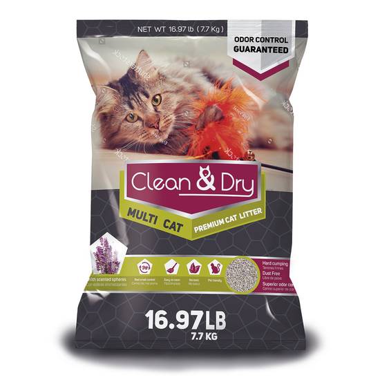 Clean & dry arena premium para gato