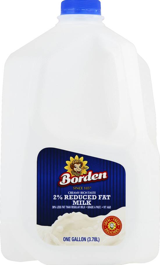 Borden 2% Reduced Fat Milk (3.78 L)
