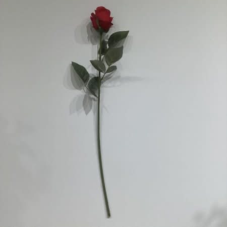 Permafleur Red Rose Bud