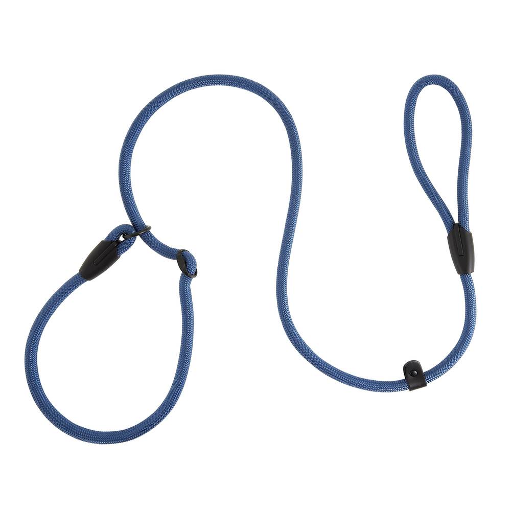 Top Paw Training Slip Dog Leash, Blue