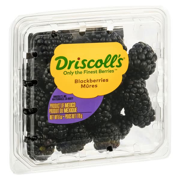 Driscoll's Blackberries