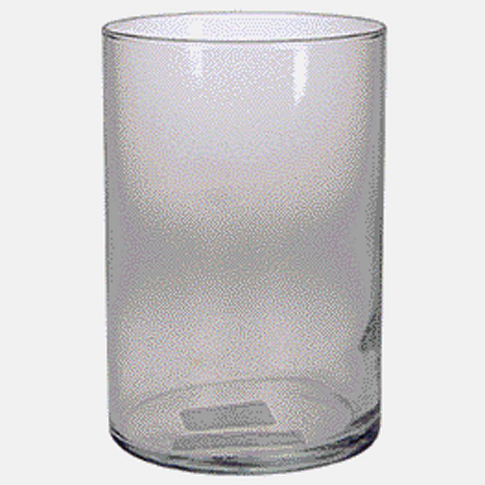 Short Cylinder Clear Glass Vase