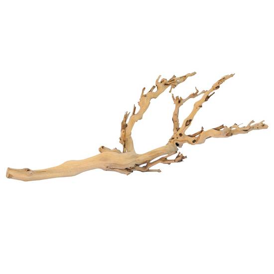 Exo Terra® Forest Branch (Size: 1 Count)