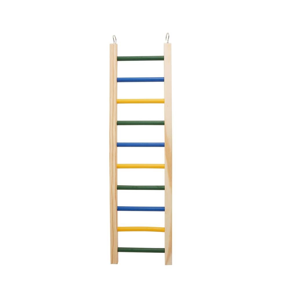 All Living Things Natural Ladder (large)