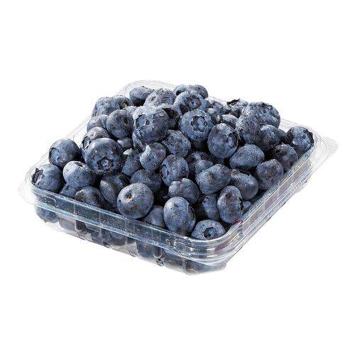 Blueberries - Myrtilles (170 g - 0.50 pinte)