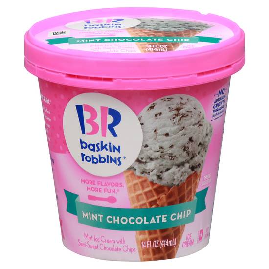 Baskin-Robbins Mint Chocolate Chip Ice Cream