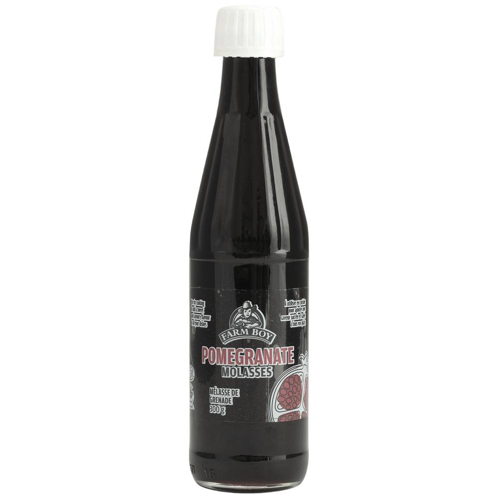 Farm Boy™ Pomegranate Molasses (300 g)