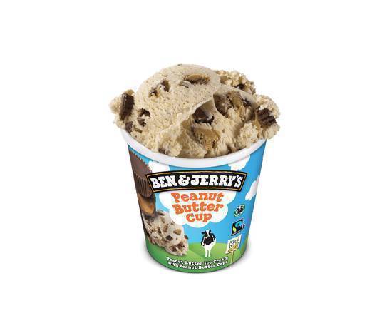 Ben & Jerry's Peanut Butter Cup (465 ml)