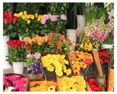 Chicago Flower Delivery by DBG Flowers