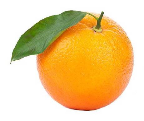 Laranja Biológica