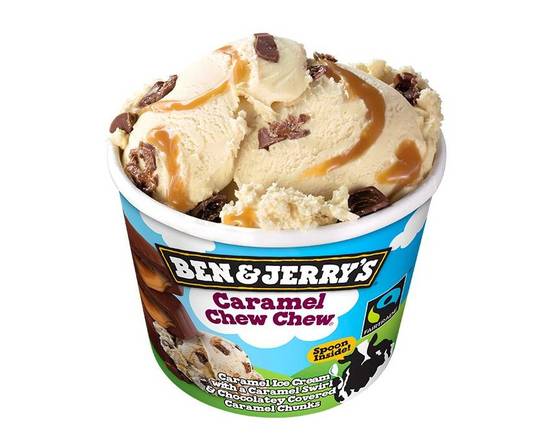 Glace Ben & Jerry's Cookie 100 ml