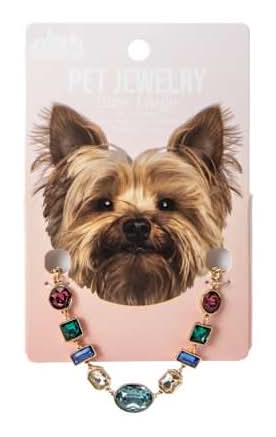 Pawsitively Fun! Large Pet Jewelry Large