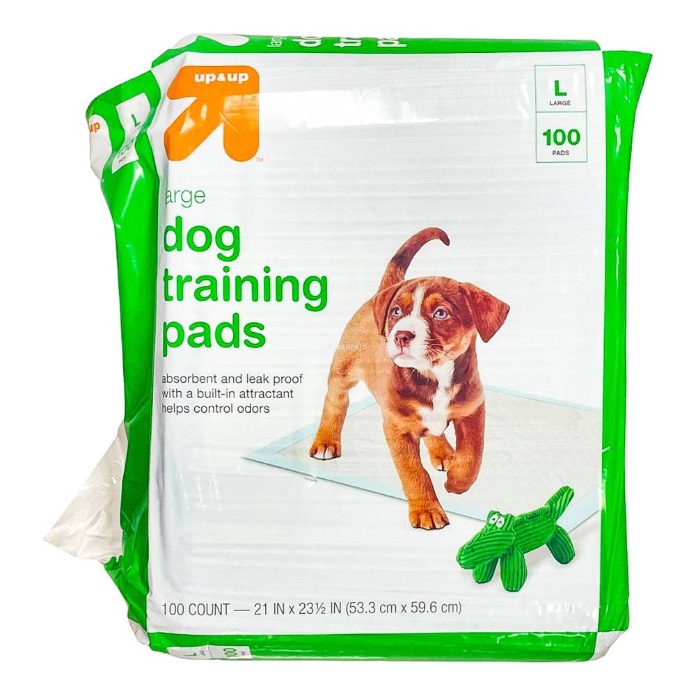 up&up Puppy and Adult Dog Training Pads, L (100 ct)