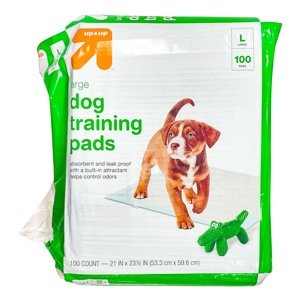 up&up Dog Training Pads, L (100 ct)