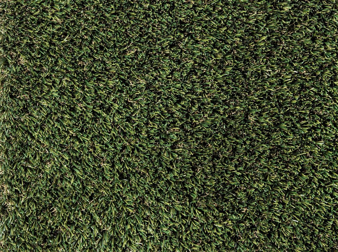 SYNLawn Multi Olive Roll-bar 6-ft Cut To Length Artificial Grass | MULTI-8260-HC-0600