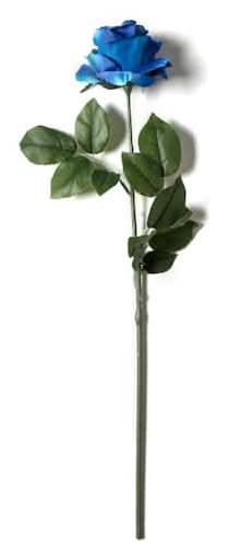 Ashland Rose Stem Flower, 25", Royal Blue