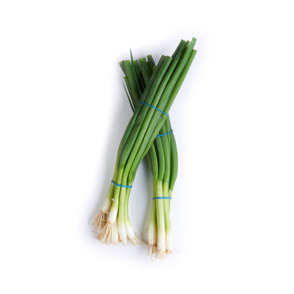 Green Onions 1 Count