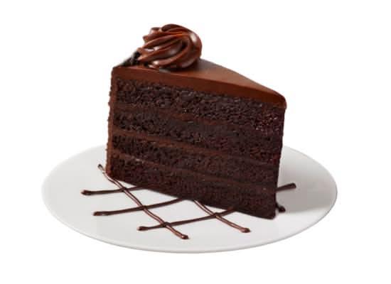 The Cheesecake Factory Bakery Fudge Cake Slice //  Tranche de Gâteau Fudge