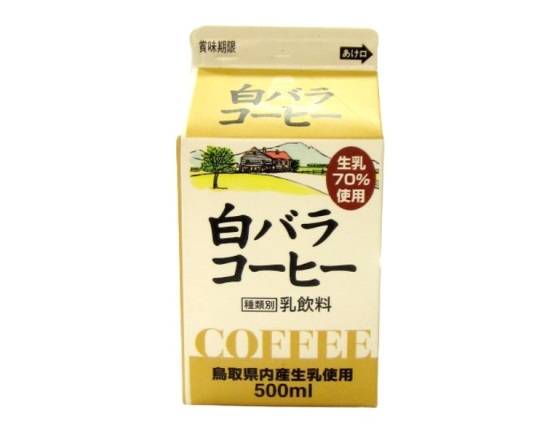 大山乳業白バラコーヒー500mlJ-359