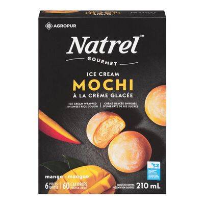 Natrel crème glacée sans lactose vraiment vanille - mango ice cream mochi (6 x 35 ml)