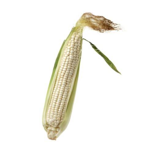 White Corn (1 ear)
