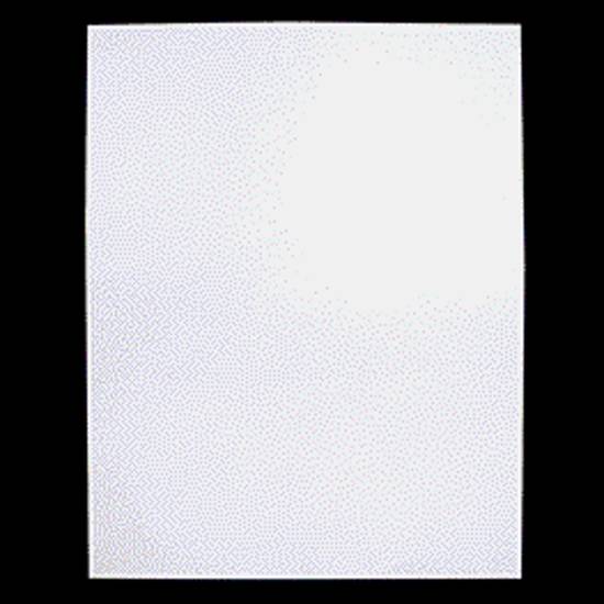 Dollarama White Bristol Board Sheet (22"x28")