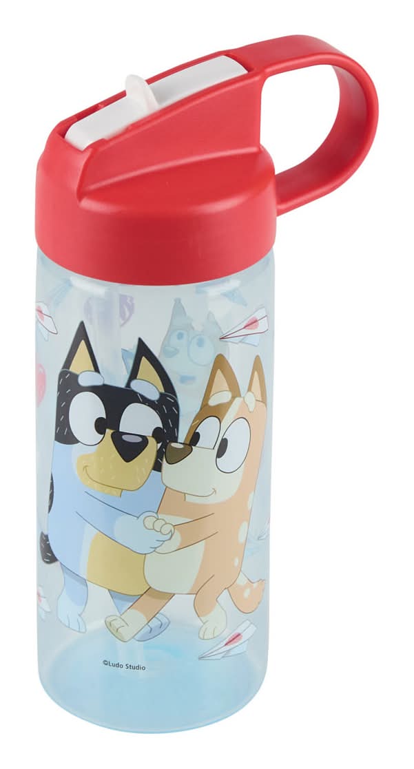 Valentine'S Day Printed Water Bottle 16 Oz Assorted