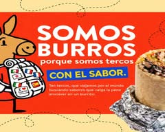 Somos Burros (Salvador)
