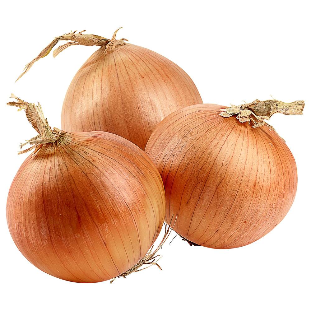 Organic Yellow Onions, 10 lbs